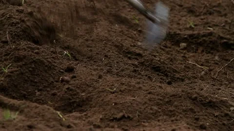 Raking dirt Stock Footage 19315625