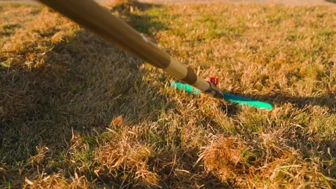 Raking dry grass and thatch from the lawn in spring. Person scarifying yellow Vidéo 343239454