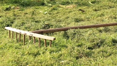 Raking the grass after mowing Video stock 79670024