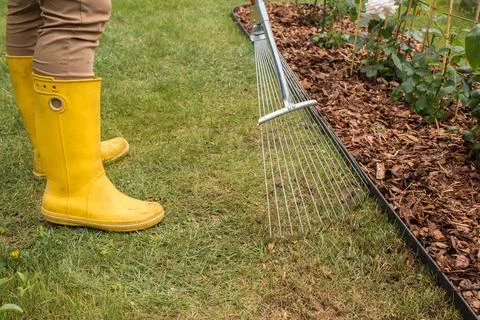 Raking grass in spring Stock Photos