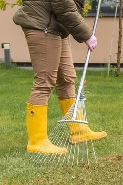 Raking grass in spring Stock Photos