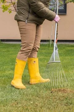 Raking grass in spring Stock Photos
