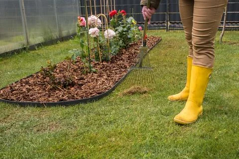 Raking grass in spring Stock Photos