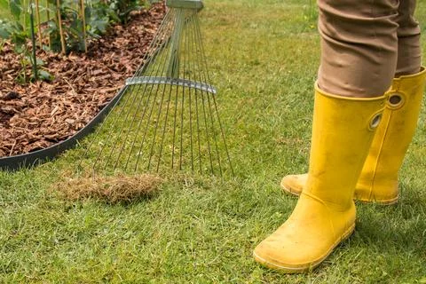 Raking grass in spring Stock Photos