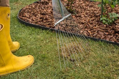 Raking grass in spring Stock Photos