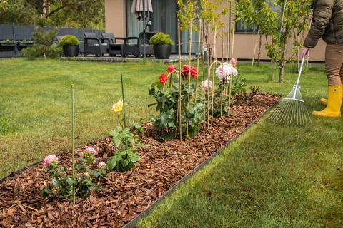 Raking grass in spring Stock Photos