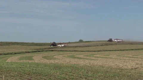 Raking Hay Stock Footage 40463701