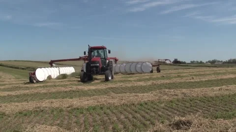 Raking Hay Stock Footage 40463941