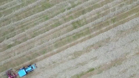 Raking hay Stock Footage 264070023