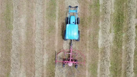 Raking hay Stock Footage 264070090