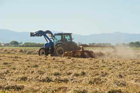 Raking the hay 스톡 사진
