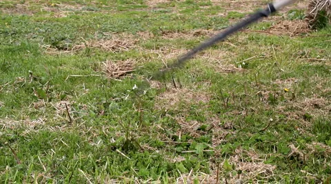 Raking the lawn 動画素材 4894993