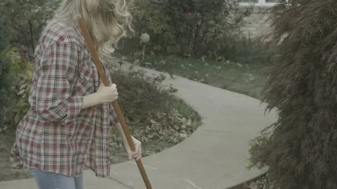 Raking Leaves 1 Stock Footage 220904795