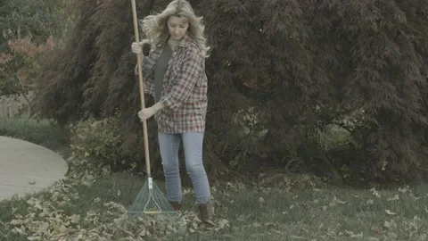 Raking Leaves 3 Stock Footage 220904813