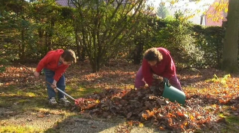 Raking leaves in fall Video stock 512391