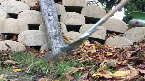 Raking leaves in the Fall Video stock 150639482