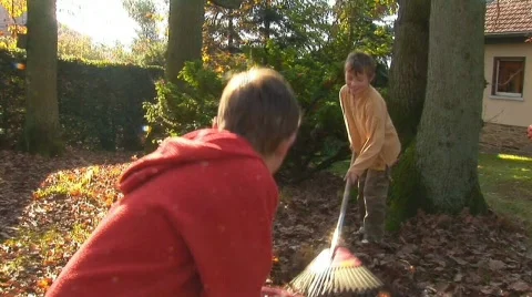 Raking leaves Stock Footage 512405
