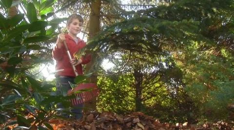 Raking leaves Stock Footage 512408