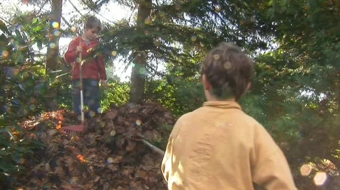 Raking leaves Video stock 512422