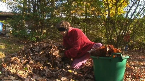 Raking leaves Stock Footage 512443