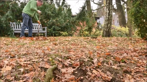 Raking leaves 库存影片 47669313