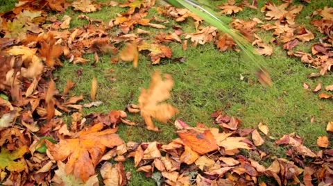 Raking Leaves Stock-Footage 58952903