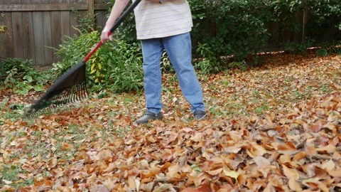 Raking leaves 스톡 동영상 82027024