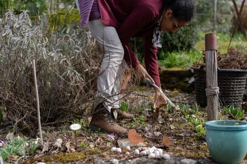 Raking leaves in springtime. Stock Photos