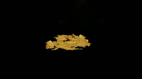 Raking Leaves Transition HD Stock Footage 10870494