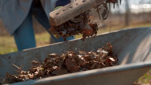 Raking leaves using rake. Person taking care of garden house yard grass Vídeos de archivo 107096055