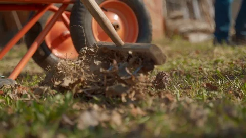 Raking leaves using rake. Person taking care of garden house yard grass Vídeos de archivo 107096873