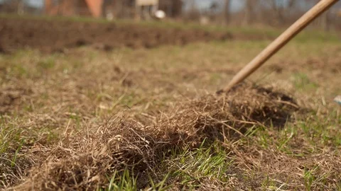 Raking leaves using rake. Person taking care of garden house yard grass Vídeos de archivo 107097725