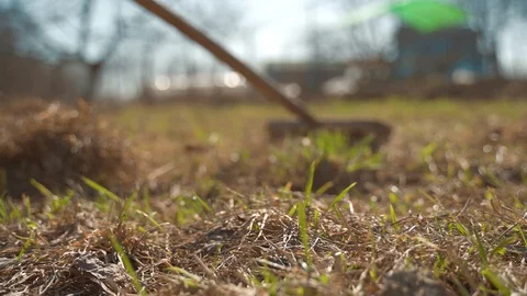 Raking leaves using rake. Person taking care of garden house yard grass Vídeos de archivo 107098399