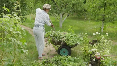 Raking leaves using rake. Person taking care of garden house yard grass Vídeos de archivo 203466423