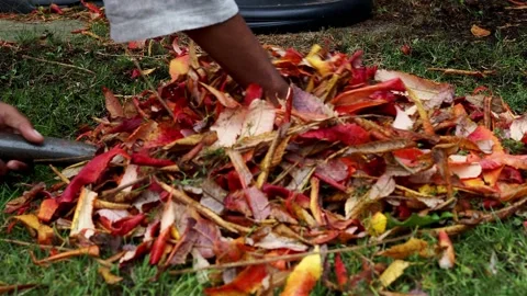 Raking The Leaves Before Winter. Stock Footage 227123684