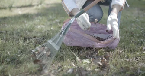 Raking leaves in the yard Stock Footage 90701964