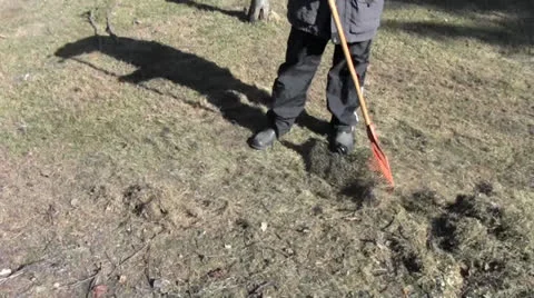 Raking man Stock Footage 22740340