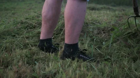 Raking the plot from freshly mown grass. summer mowing. cleaning of the Stock Footage 161073062