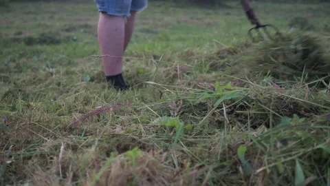 Raking the plot from freshly mown grass. summer mowing. cleaning of the Video stock 162412640