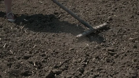 Raking Soil in the Garden Stock Footage 303423335
