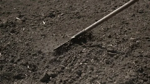 Raking Soil in the Garden Stock Footage 303423421