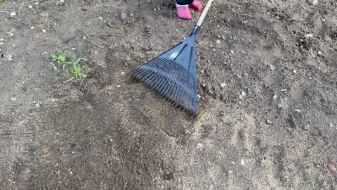 Raking soil for garden Stock Footage 341983350