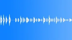 RakingSound Effect