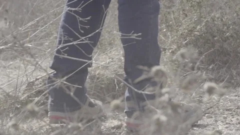 Raking weeds in field Stock Footage 82232383