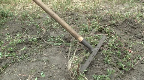 Raking weeds Stock Footage 27597046