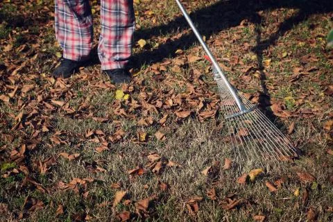 Raking the Yard Stock Photos