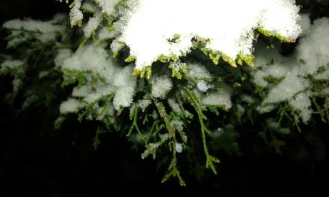 Rakit in the snow Stock Photos