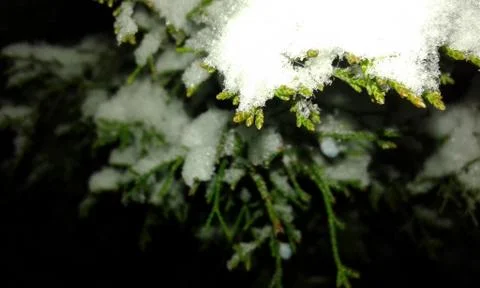 Rakit in the snow Stock Photos