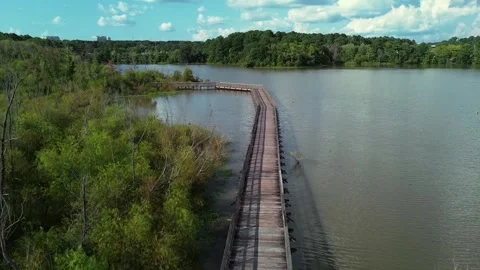 Raleigh Greenway Stock Footage 316258583