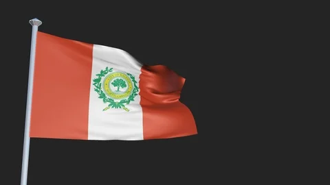 Raleigh - Loopable 3D flag animation with Alpha Channel and Transparency for  스톡 동영상 91052184